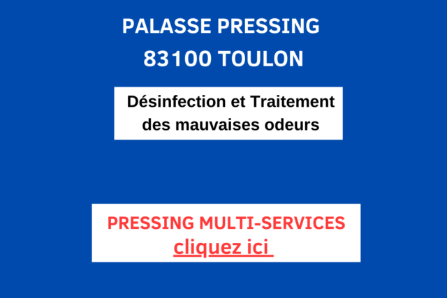 PALASSE PRESSING & LAVERIE ASSISTEE